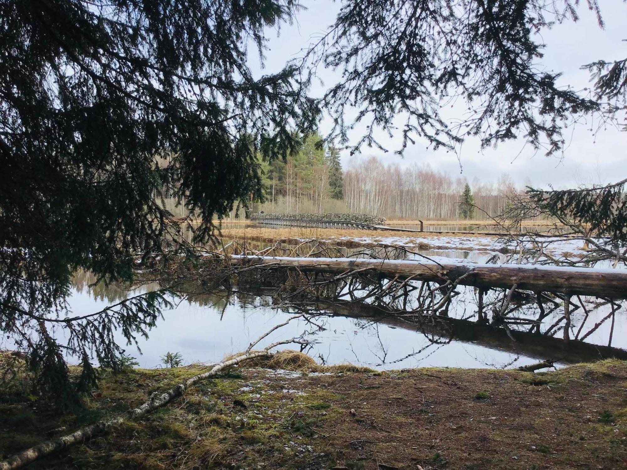 Apartmany A&Z Hořice na Šumavě Quarto foto